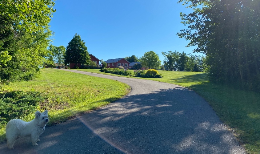 Abby Lane Summer Homes