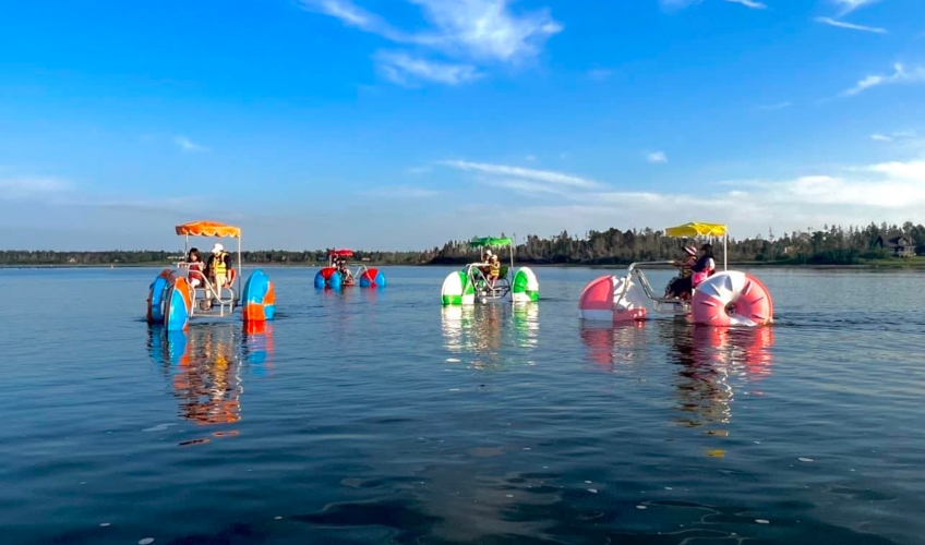 Fun on the Cardigan River