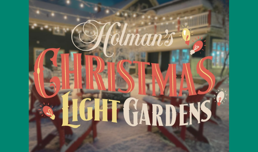 Holman's Christmas Light Gardens