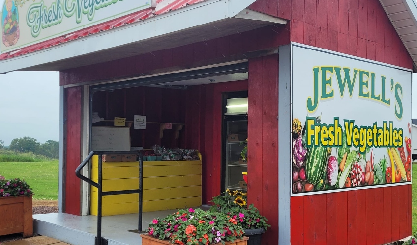 Jewel's Fresh Vegetables