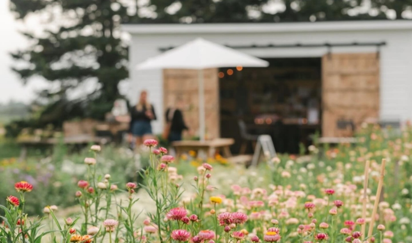 Little Dutch Flower Farm