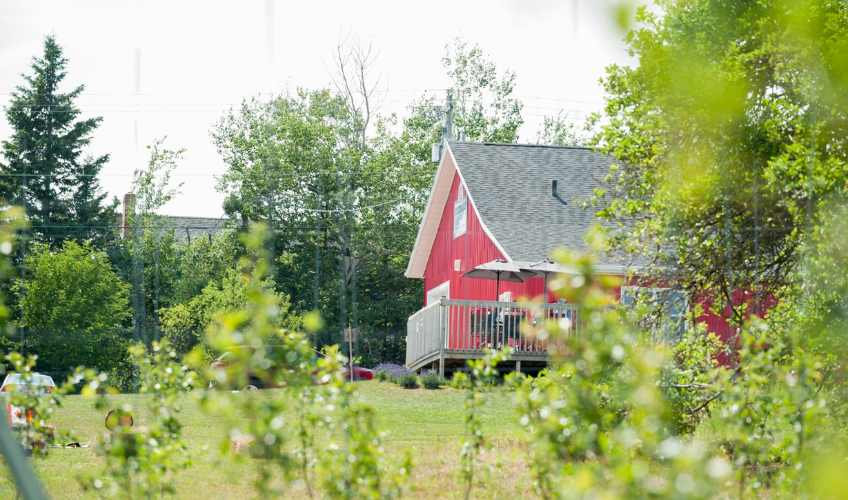 Riverdale Orchard and Cidery