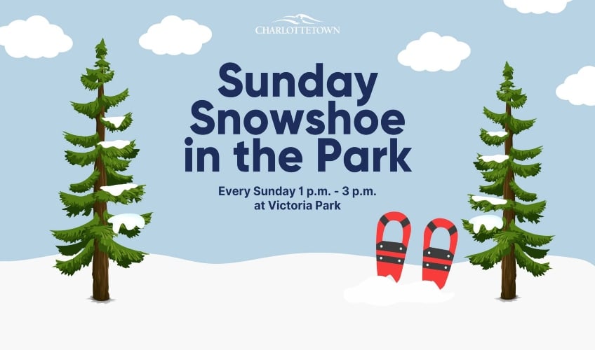 Snowshoe in the Park - Feb 23