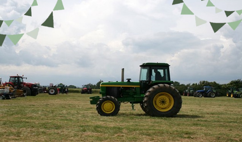 42nd Annual Somerset Festival