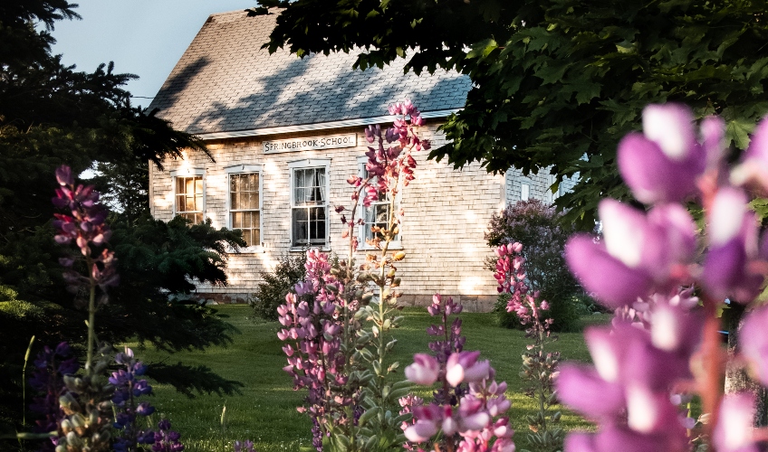 Springbrook Schoolhouse Cottage