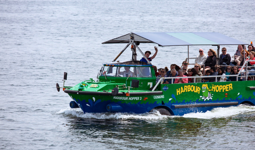 Harbour Hopper Tours