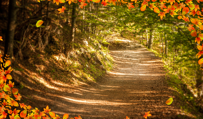 Harvest Hike Fest