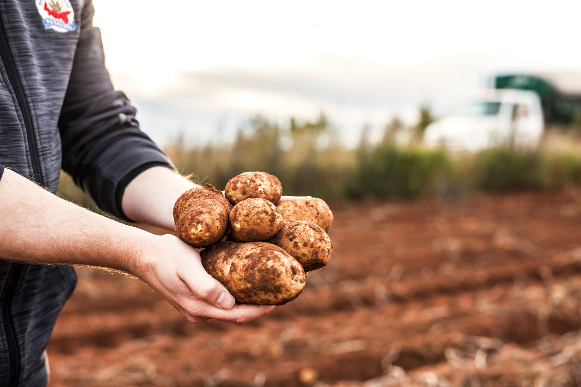 Farm Tours