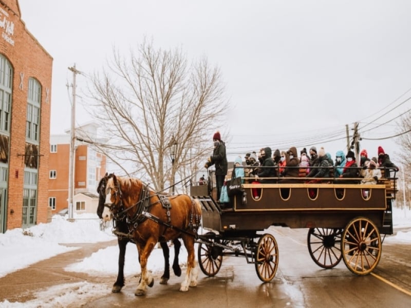 Free Horse & Wagon Rides- March 1