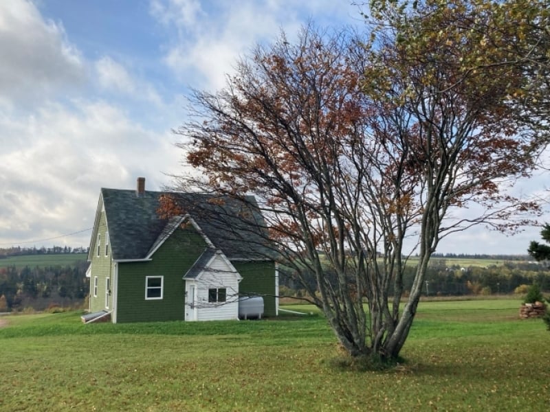 The Green House at St. Peter's Bay