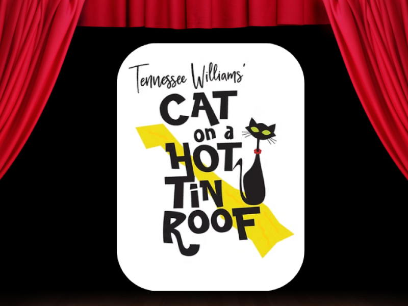 Cat on a Hot Tin Roof: Jan 17