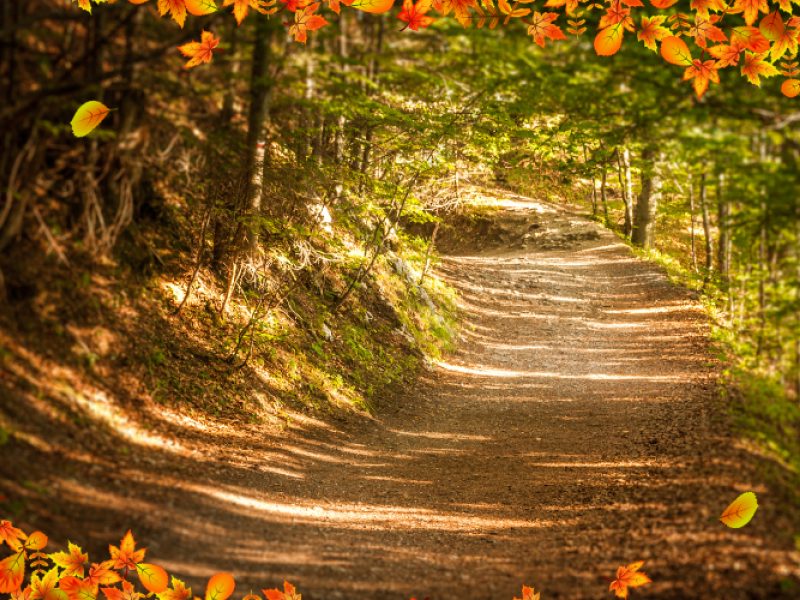 Harvest Hike Fest