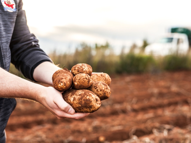 Farm Tours