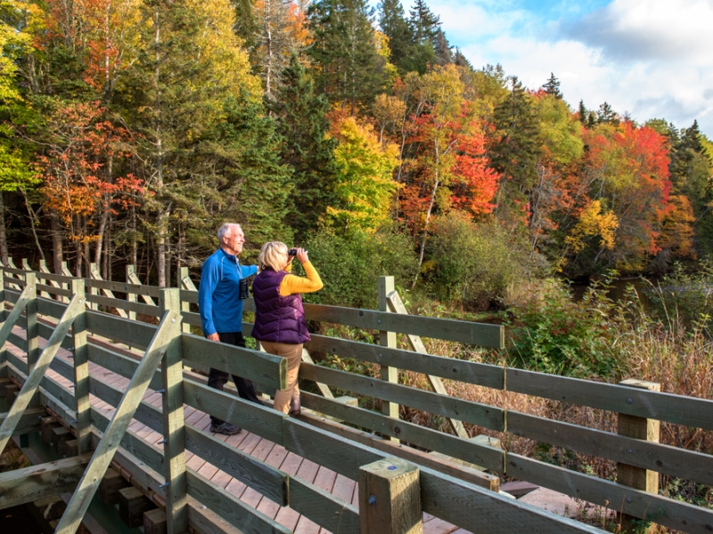 Male and female stand on foot bridge looking over Bonshaw River with fall foliage in background