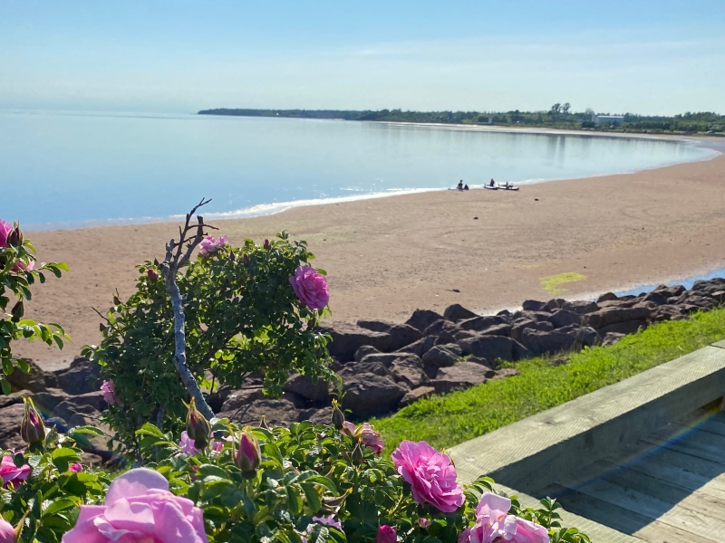 Jacques Cartier Provincial Park Tourism PEI