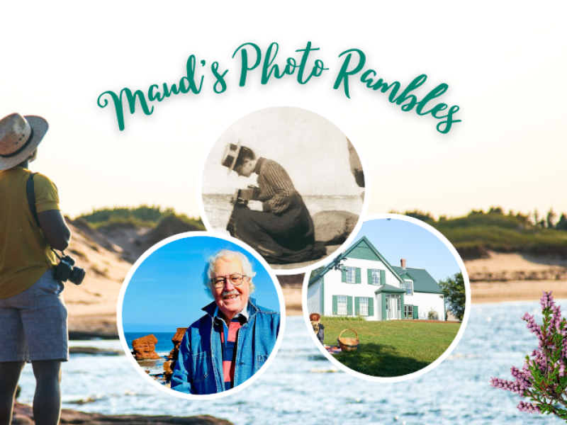 Image of person on Cavendish Beach with camera over shoulder; image inserts of Green Gables Heritage Place, vintage image of LM with camera on beach and  Ian Carter with beach in background