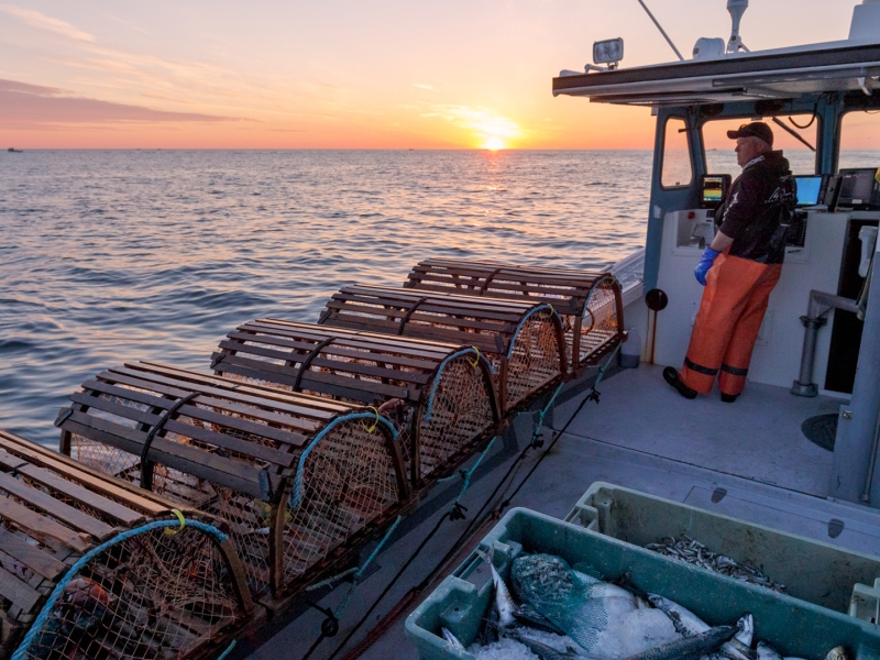 Lobster fishermen, boat, sunset, ocean