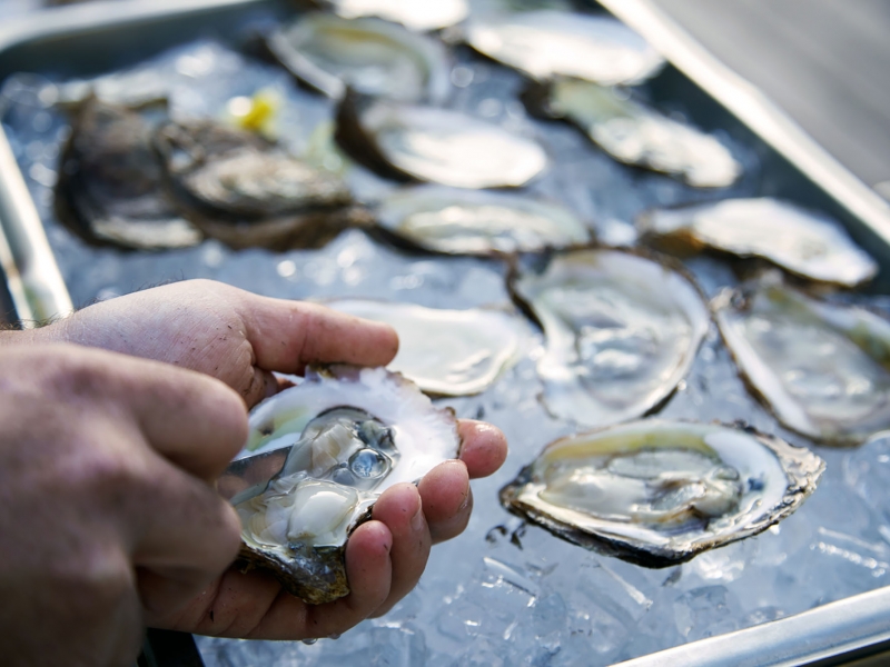 Oysters, close up, Fall Flavours, Savour Victoria