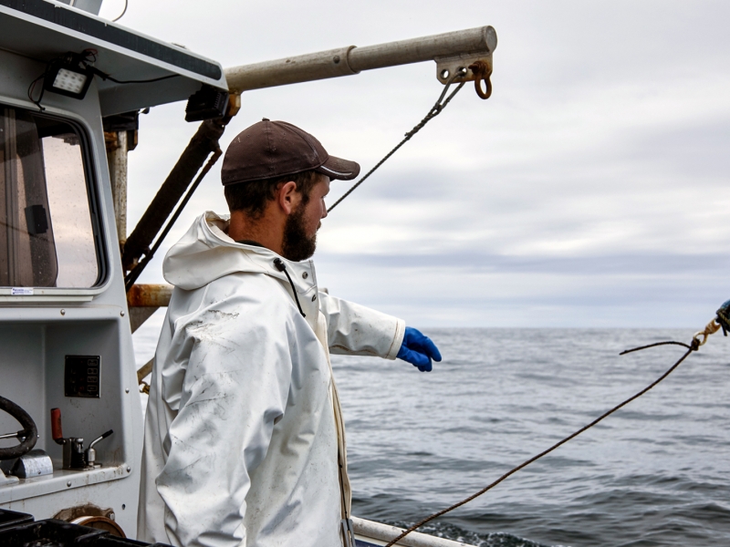 Lobster harvesting, lobster fisherman, boat