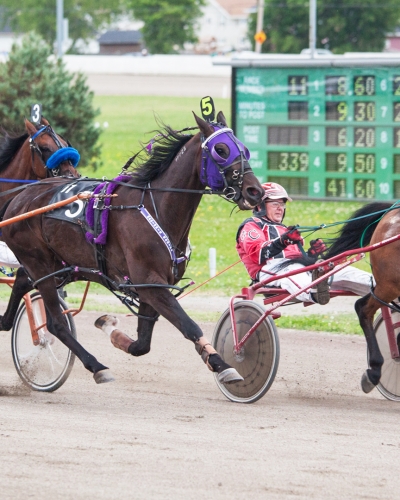 Horse Racing, Summerside Raceway