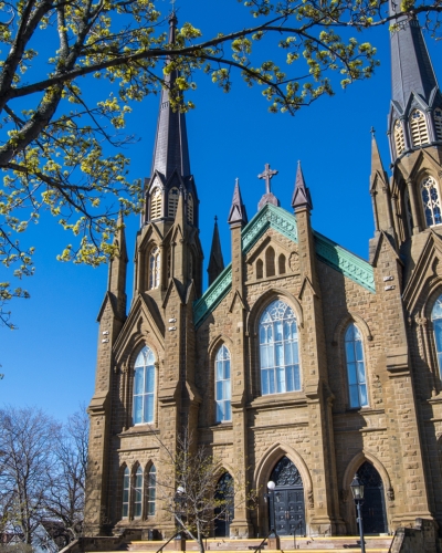 Charlottetown, Basilica, church, tree