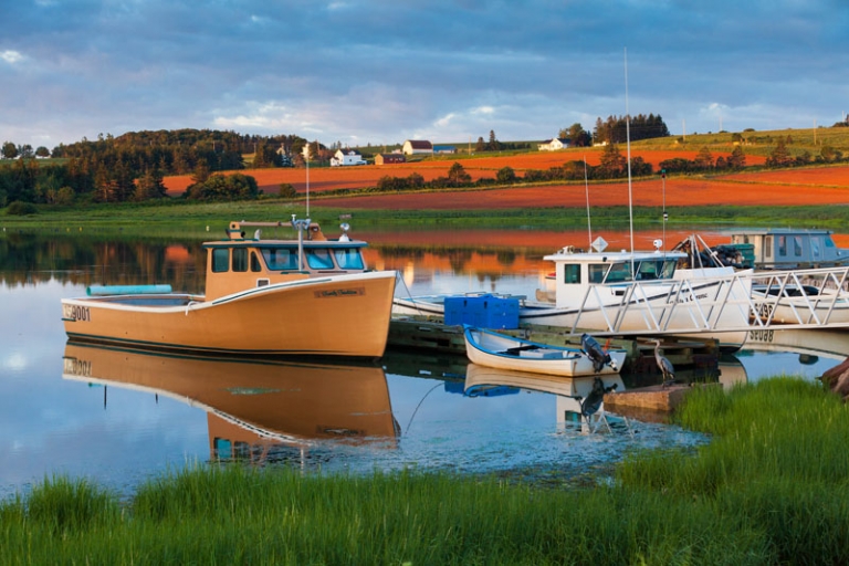 Boats in harbour