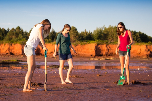 Keppoch Beach, PEI Trio digging for clams at Keppoch Beach, PEI