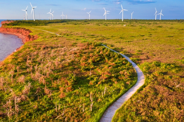 North Cape, wind turbines, road, cliffs, ocean 