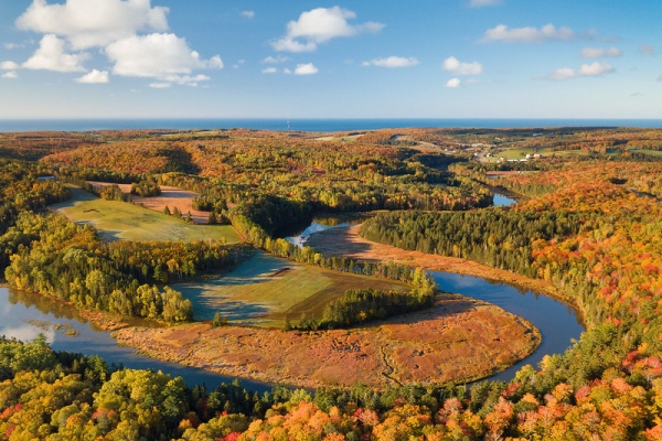 Aerial view of Strathgartney Provincial Park in fall