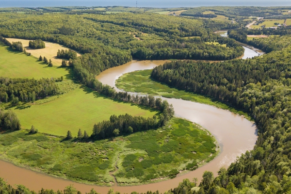 river, forest, Strathgartney