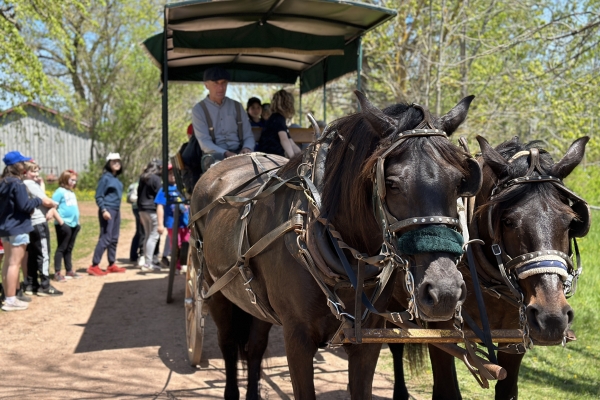 Horse and wagon ride at Orwell Corner Historic Village