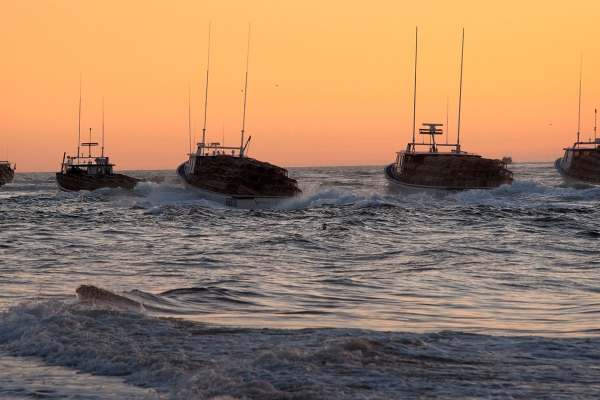 Fishing boats leaving harbour at sunrise on Setting Day