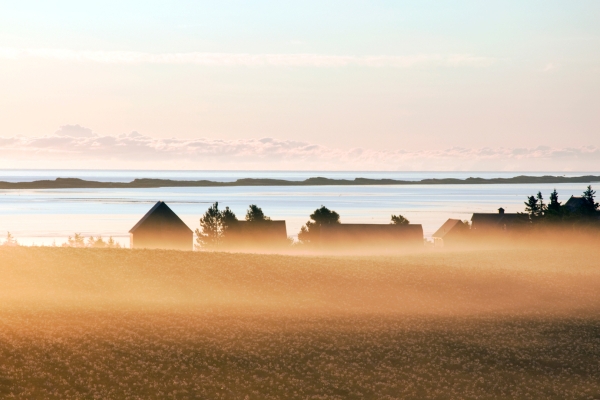 Ocean, Field, House Silhouette 