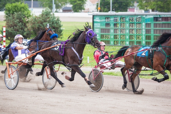 Horse Racing, Summerside Raceway