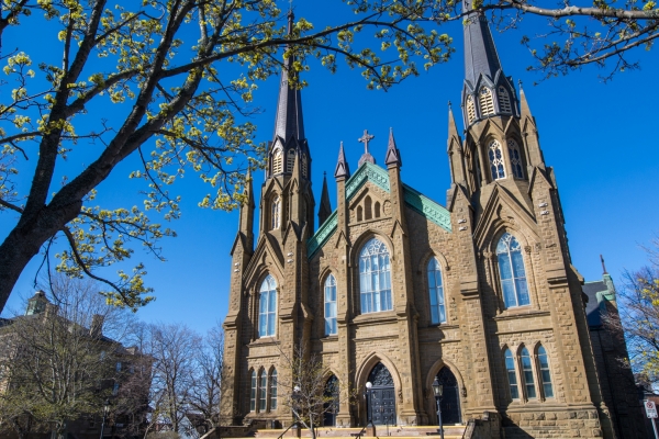 Charlottetown, Basilica, church, tree