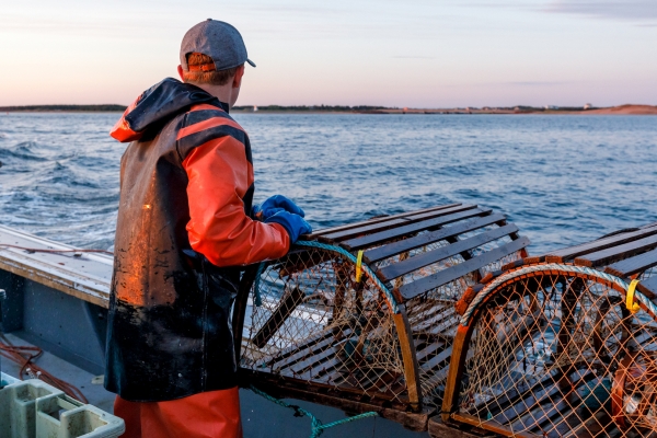 Lobster Fisherman, lobster traps, ocean, sky