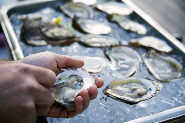 Oysters, close up, Fall Flavours, Savour Victoria