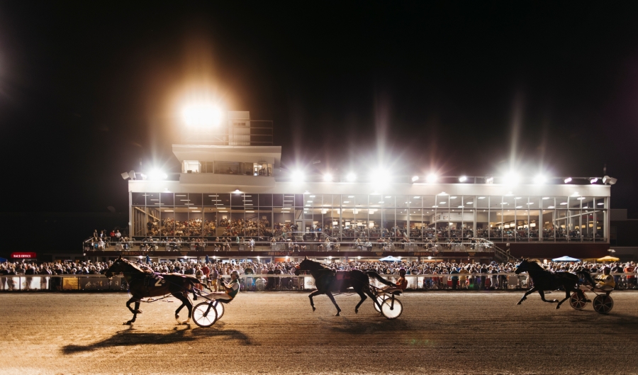 Harness racing under the lights at Red Shore Charlottetown Driving Park