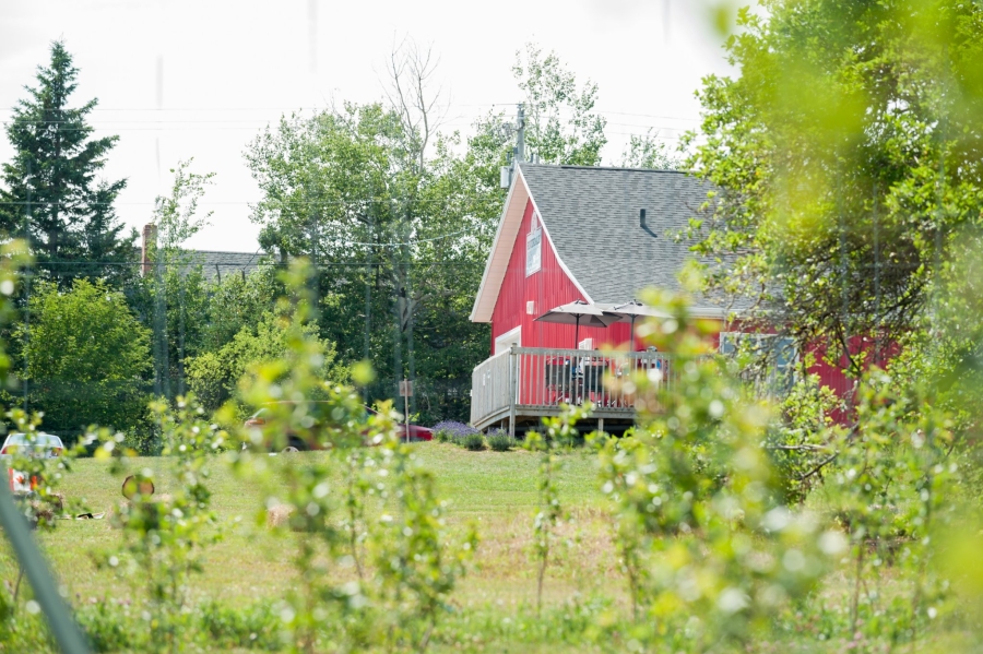 Image of Riverdale Cidery building from trees in orchard