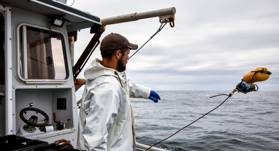 Lobster harvesting, lobster fisherman, boat