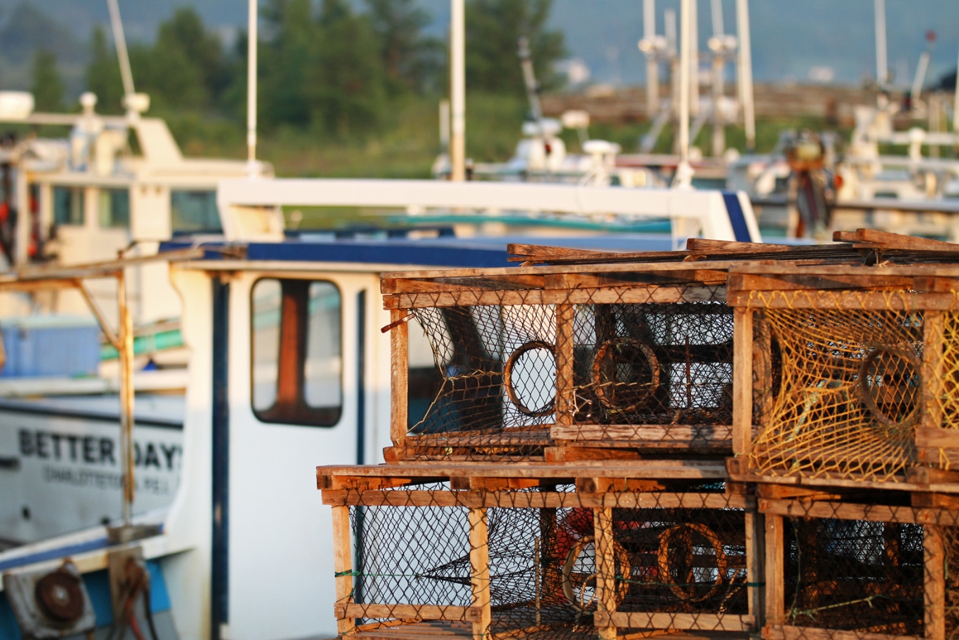 Close up of traps and lobster boats at Nine Mile Creek Wharf