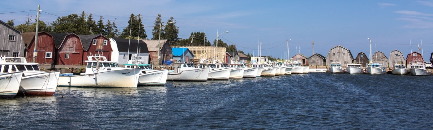 Fishing boats tied up at Malpeque Harbour in summer