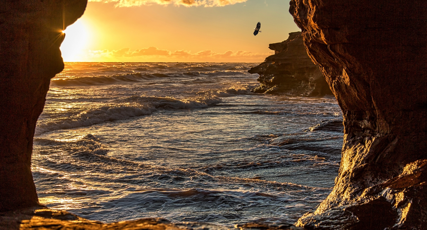 Ocean through rocks, sunset, bird