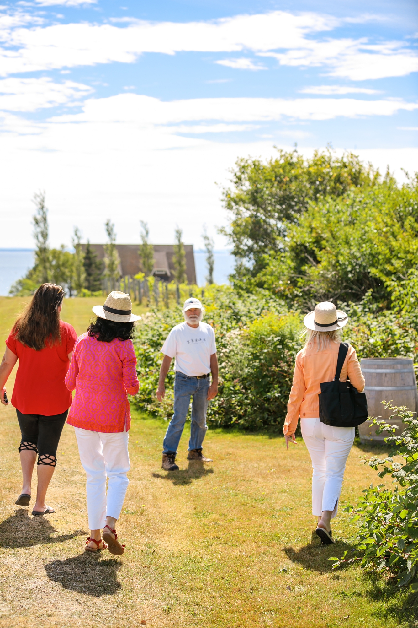 Three women tour vineyard at Rossingnol Winery with owner