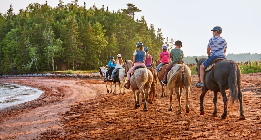 Brudenell Riding Stables, horses riding along Brudenell River