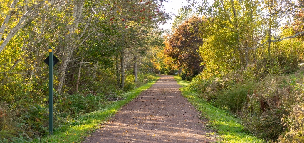 Confederation Trail in fall