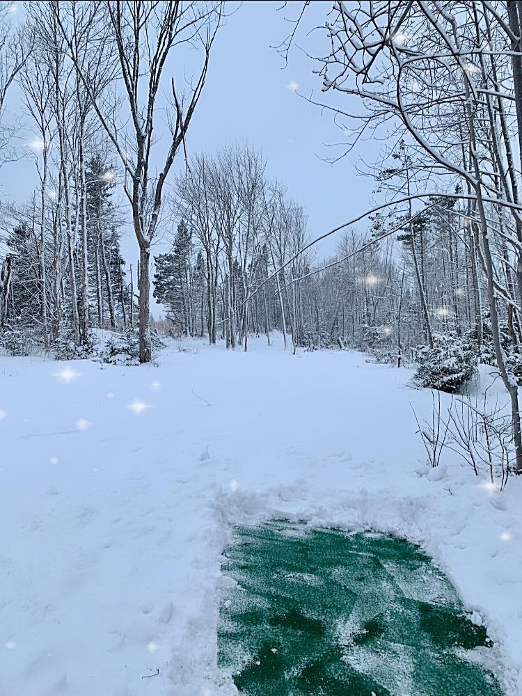 Tee box in winter at Kings Pine Disc Golf Park, PEI