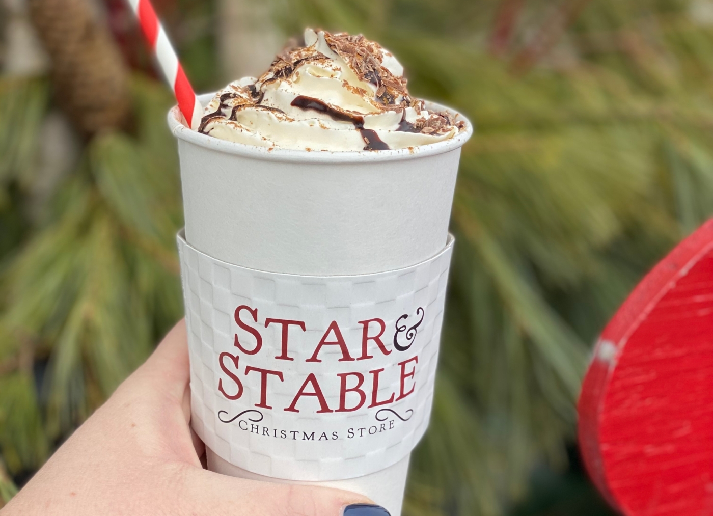 Hand holding a hot chocoate, Star & Stable Christmas Store