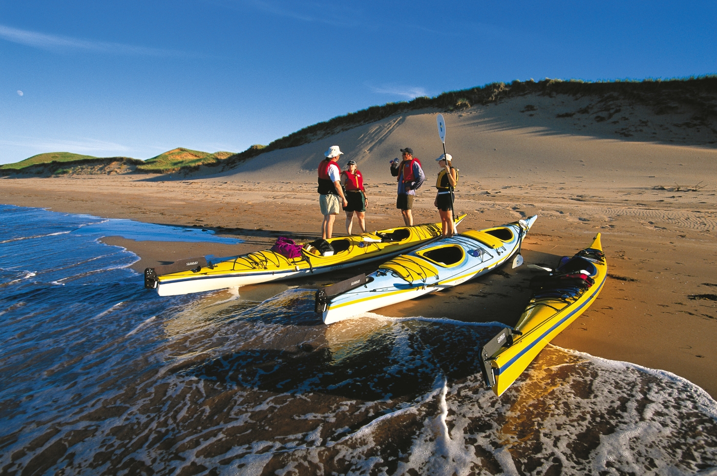Group with kayaks on Hog Island shore