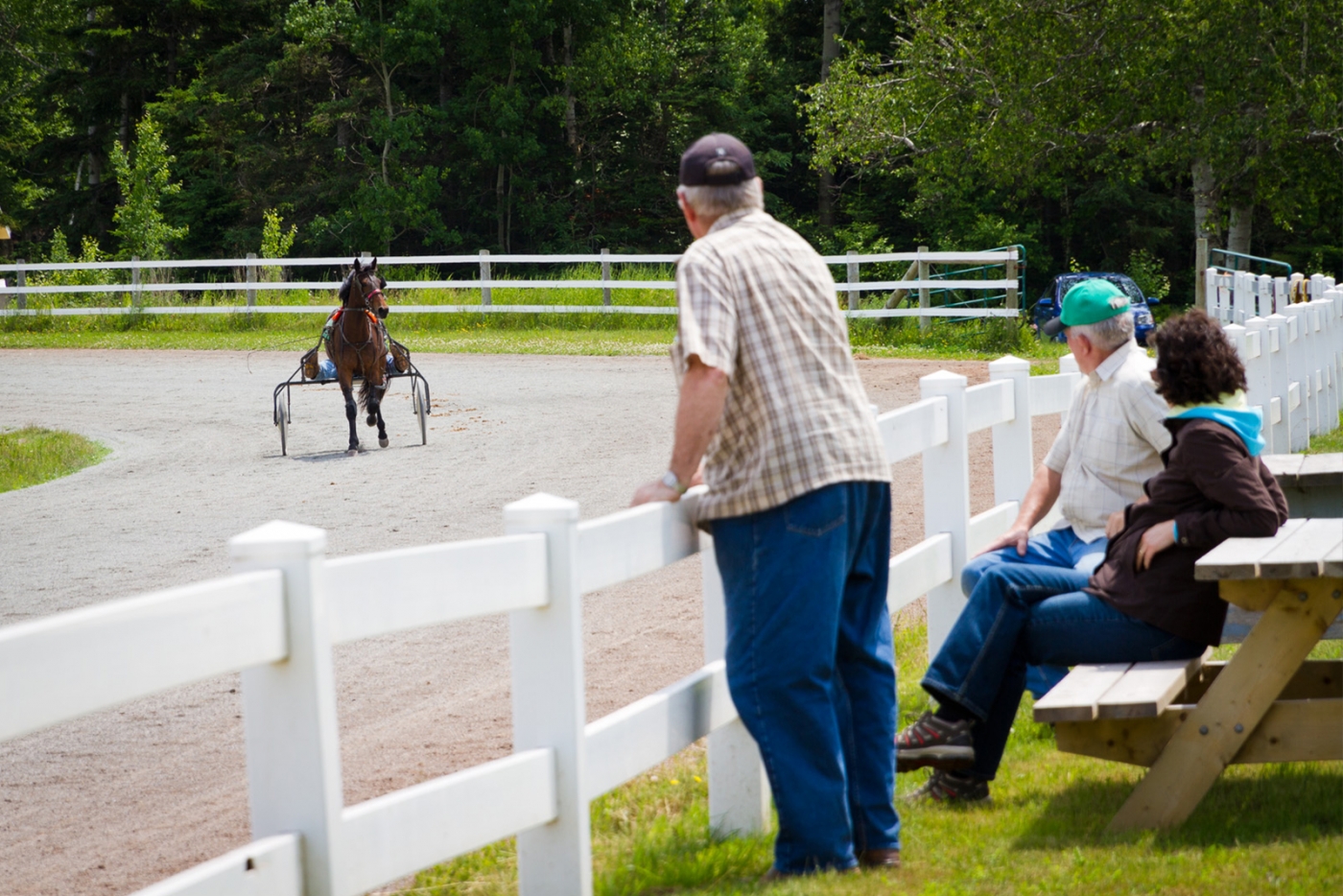 Pinette Harness Racing